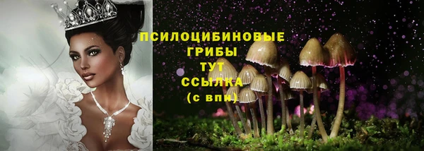 крисы Осинники