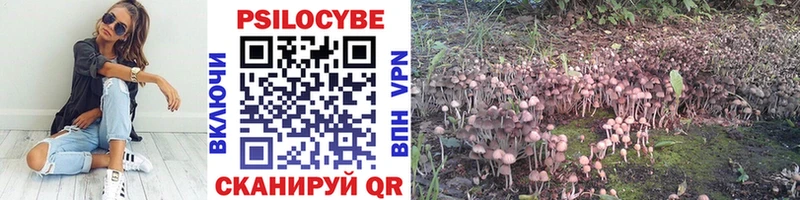 Галлюциногенные грибы ЛСД где можно купить ОМГ ОМГ сайт Темников